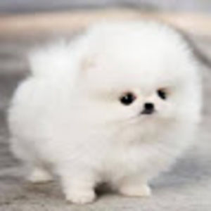 Meet your Posher, Aubrey